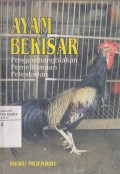 Ayam Bekisar, Pengembangbiakan - Pemeliharaan - Pelestarian