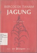 Bercocok Tanam Jagung