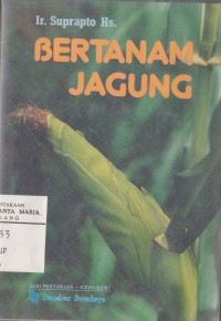 Image of Bertanam Jagung