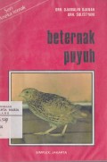 Beternak Puyuh
