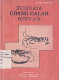 Budidaya Udang di Kolam