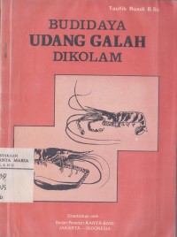 Image of Budidaya Udang Galah di Kolam