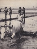 Cina-Birma-India