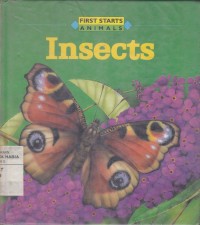 Image of Insects