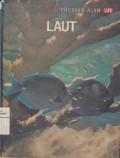 Laut