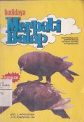 Budidaya Merpati Balap