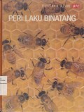 Perilaku Binatang