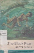 The Black Pearl