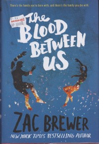 Image of The Blood Between Us