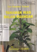 Tanaman Hias Dalam Ruangan